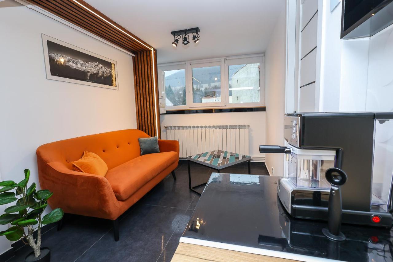 Ioana Residence Bucovina 坎普朗莫道尼斯 外观 照片